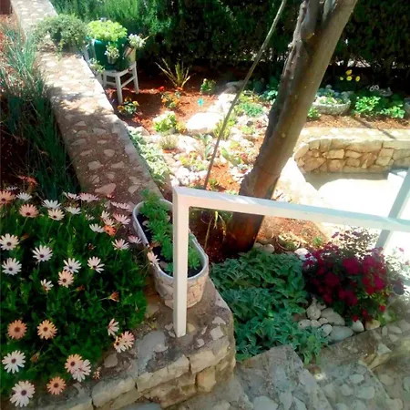 Apartament Anki *